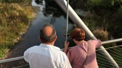 Ro Cabe, en Monforte. Antes de entrar en el centro de la ciudad el caudal apenas supera los 20 centmetros. 