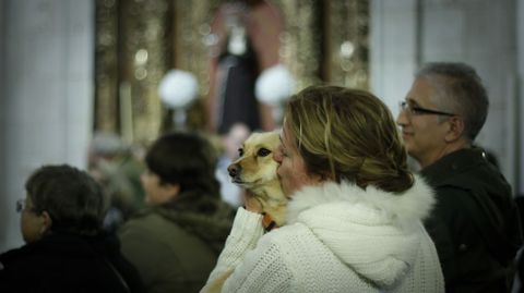 MISA Y BENDICIN DE LAS MASCOTAS CON MOTIVO DEL SAN ANTONIO EN LA IGLESIA DE LA ORDEN TERCERA