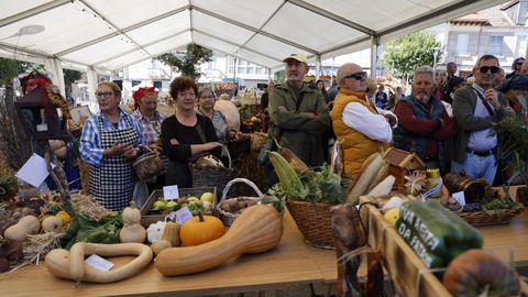 Festa da Pataca en Vilar de Barrio.