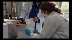 T�cnicos de Medio Rural y del consejo regulador recogen las muestras en las bodegas