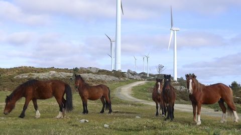 Parque e�lico de Forgoselo, en San Sadurni�o