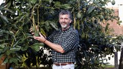 sarmiento.A s�a horta. Na s�a casa de Sabar�s, Ram�n Sarmiento ten unha leira na que cultiva, entre outras froitas e hortalizas, os seus propios aguacates. Este � tempo de comezar a sementar