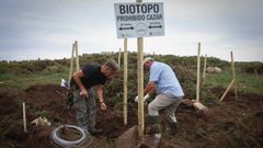 Trabajos de construcci�n de una de las madrigueras artificiales, hace unos d�as