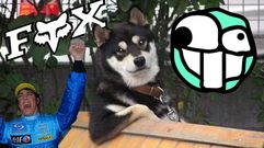 Chop (montaje en Photoshop) con algunos de los smbolos de Forocoches: El logotipo de FOX, la figura de cera de Fernando Alonso, Shurperro y Roto2