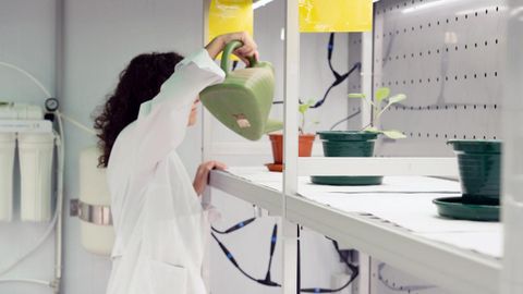 Investigadora trabajando en uno de los laboratorios del Campus Auga