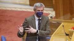 Alfonso Rueda, en el Parlamento