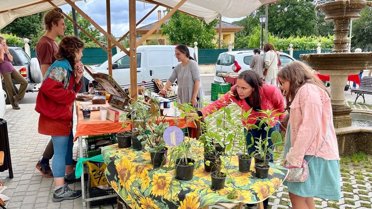 Postos de venda nunha edicin anterior do Mercado Circular da Pobra do Brolln