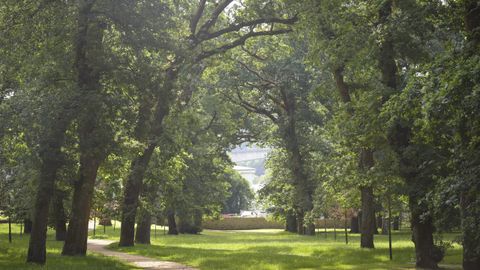 Inauguraci�n de la rehabilitaci�n del parque jard�n y la carballeira de Caldas de Reis