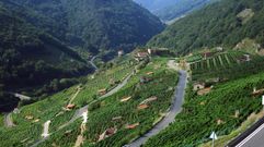 Vi�edos de San Fiz, un paraje para el que la Xunta planea un plan espec�fico de ordenaci�n