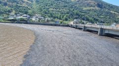 Arrastres tras la riada en el embalse de Valencia do Sil, en Vilamart�n de Valdeorras.