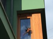 Los ladrones rompieron un cristal para acceder a la vivienda. 