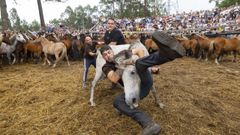 Un grupo de aloitadores trata de reducir a un equino durante la celebraci�n de la Rapa das Bestas de ayer de monte Faro, Vimianzo.