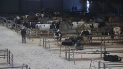 Imagen de archivo del mercado de Amio