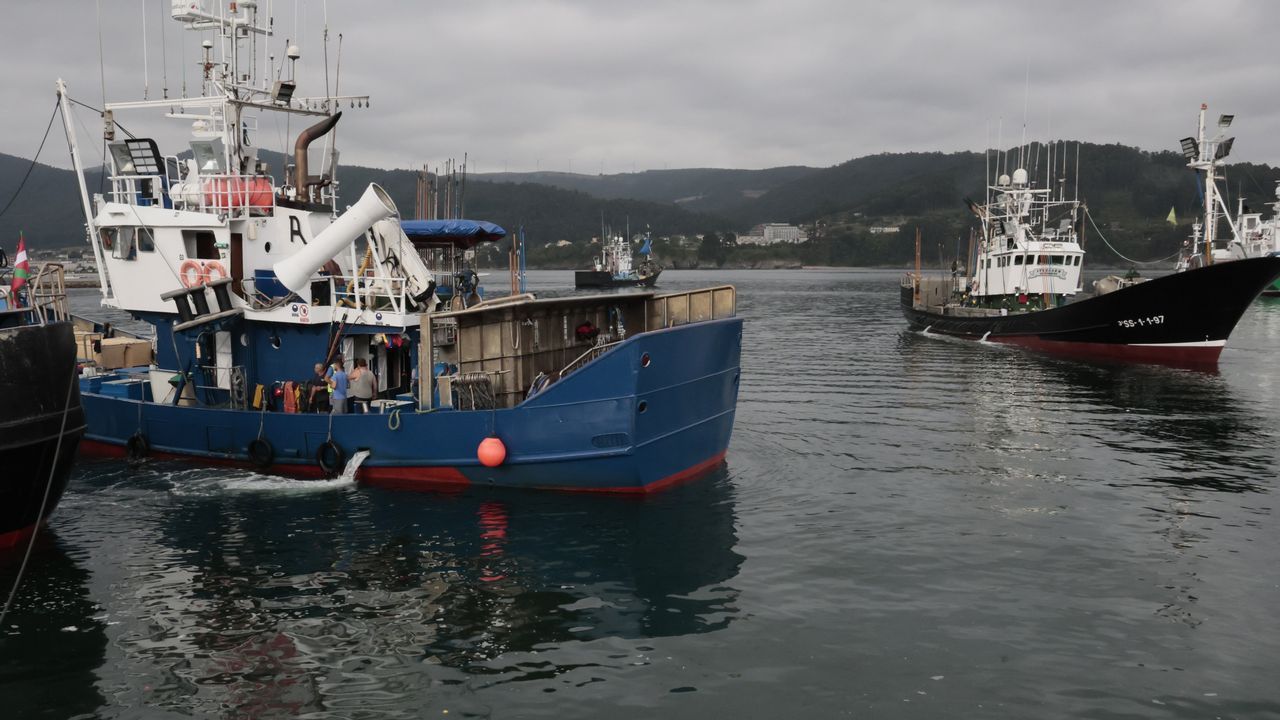 Barcos de cebo vivo pescan en un día el doble de bonito que los de cacea en diez