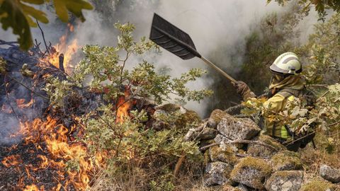 Las brigadas trabajando en los montes de O�mbra