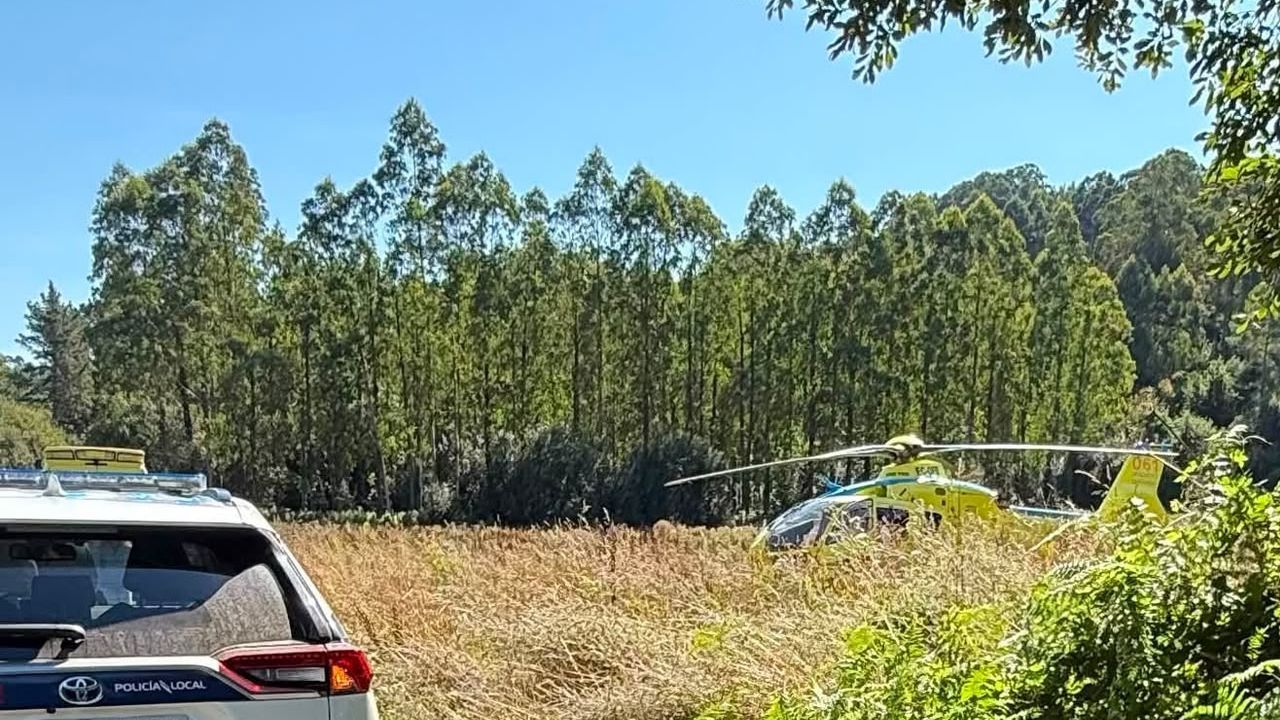Trasladada en helicóptero tras ser golpeada por una rama mientras cortaba leña en Abegondo