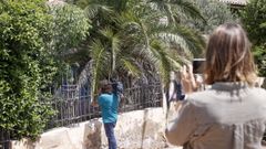 La casa abandonada donde se habr�a producido la violaci�n en manada est� ubicada en la avenida Pi i Margall de Burjassot (Valencia).