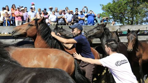 Las  bestas  no se lo pusieron fcil a los  aloitadores 