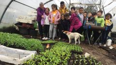 Imagen de archivo de una actividad en el colegio Gregorio Sanz, de Ribadeo