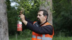 Jos� Mar�a V�zquez, gerente de Serpa, colocando una trampa da Chav�n