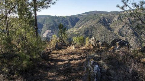 Un tramo del camino al mirador, desbrozado en tiempos recientes