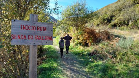 Hayedo de Busmayor. A la izquierda el inicio de la ruta y a la derecha el camino por el que se viene de vuelta