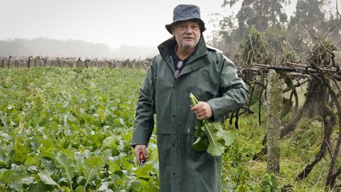 Benito e o� seu nabicol en lata para disfrutar todo o ano.