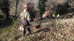 Personal de Seaga, durante los trabajos de desbroce que empezaron la semana pasada en Trascastro