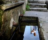 La fuente de Trabanca lleva m�s de un a�o sin echar agua.