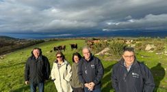 El director xeral de Ganader�a, Agricultura e Industrias Agroalimentarias, Jos� Balseiros, visit� la zona junto a la alcaldesa de Allariz, Cristina Cid.