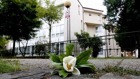 Una vecina dej una flor en el lugar del suceso