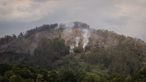 Columnas de humo del incendio forestal en Grado, Asturias
