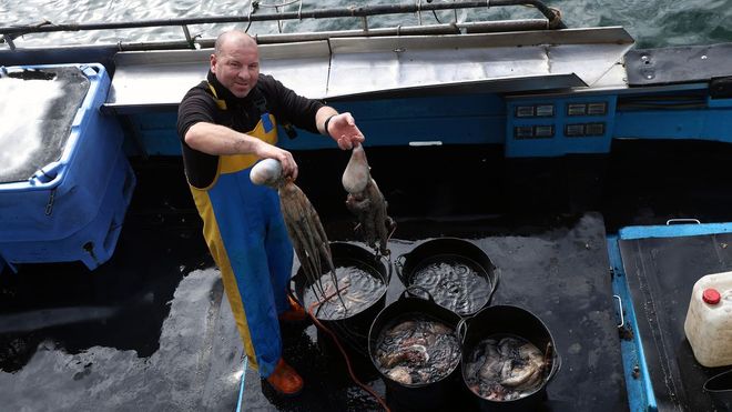 �ngel Rei, con el pulpo capturado en la embarcaci�n en la que faena, O Pet�n