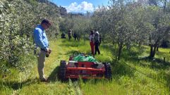 El robot desbrozadora teledirigido realiz una demostracin en un olivar en Quiroga