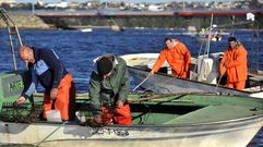 Mariscadores a flote en el banco de As P�as