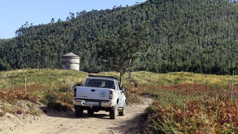 El mercado voluntario de cr�ditos de carbono estar� en producci�n a finales de a�o