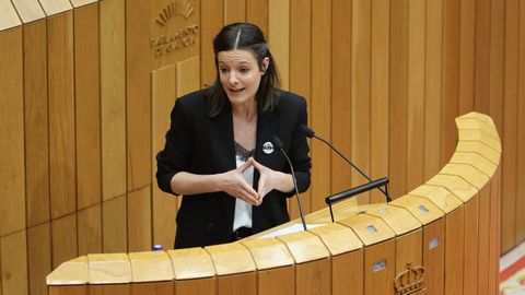 La viceportavoz del BNG, Olalla Rodil, defendiendo la enmienda de su grupo.