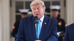 Donald Trump, en una imagen reciente