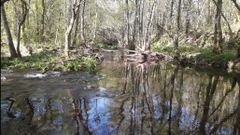 R�o Deva, en Pontedeva