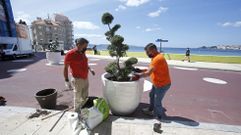 Colocaci�n de las jardineras en Silgar este mi�rcoles por la ma�ana