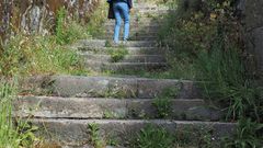 La maleza se come el monte jacobeo padron�s del Santiagui�o