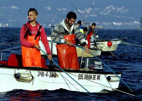 Desde que empez� la campa�a, los mariscadores �non ga�an nin un peso�, seg�n los p�sitos. 