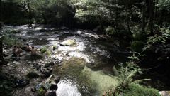 El r�o Lor en su tramo alto, dentro del municipio de Folgoso do Courel