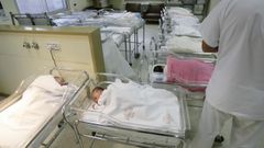 Reci�n nacidos en el nido de un hospital.