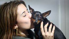 La relacin entre dueos y animales es cada vez ms estrecha, lo que mejora sus condiciones de vida.