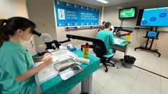 Imagen del curso de Neurocirug�a.