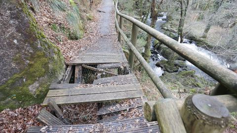 El paseo que vertebra la ruta de Os Mu��os, en el monte Segade, en Lugo, se encuentra en muy mal estado.