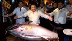 El primer at�n del a�o en Jap�n ha pesado 212 kilos y ha costado 108.000 euros