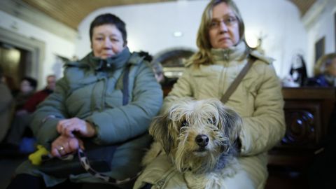 MISA Y BENDICIN DE LAS MASCOTAS CON MOTIVO DEL SAN ANTONIO EN LA IGLESIA DE LA ORDEN TERCERA