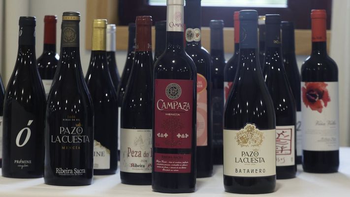 El PPdeG reclam� en Europa medidas par facilitar la comercializaci�n de vino